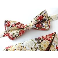 Blumen Fliege und Einstecktuch