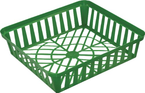 Preisvergleich Produktbild Blumenzwiebel-Pflanzschale