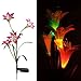 Produktbild f-eshion 4-head Lily Blume solarleuchten garten Rasen Lampe Nacht Lampe (rot)