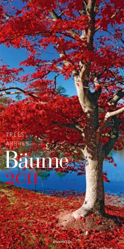 Bäume 2011