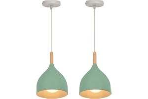 WOTTES Suspension luminaire,Style moderne E27 lustres,plafonnier industriel convient aux chambres à coucher, aux chambres d'enfants, aux salons, etc. (Vert clair)