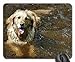 Produktbild Gaming-Mauspads, Mäusematte, Hundeporträt Tierportrait Erwachte Tier