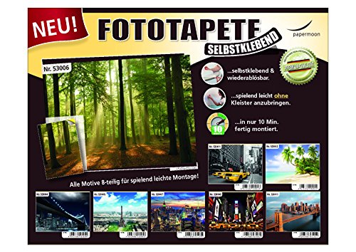 Regulär Preis 69,95 EUR! AKTION! BEGRENZTE STÜCKZAHLEN! 87002 Fototapete SELBSTKLEBEND Breite 272cm Höhe 198cm 8 Teile Beach in the South Seas wieder ablösbar Tapete Poster Wandposter Bildtapete photo mural wallmural Fotowand Leinwand Landschaft Wald Strand New York Skyline Stadt Städte Stein Weltkarte 3D Effekt Auto Blumen Berge Baum Disney Fenster Grün Blau gelb schwarz Holz Meer Natur Wasserfall Runa Universum Urwald Vintage XXL Art ablösen Ziegel Kinderzimmer Schlafzimmer Wohnzimmer Küche - 5