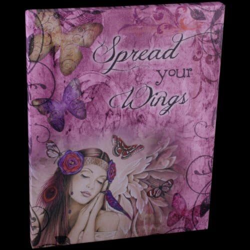 Spread Your Wings Canvas Plaque By Jessica Galbreth