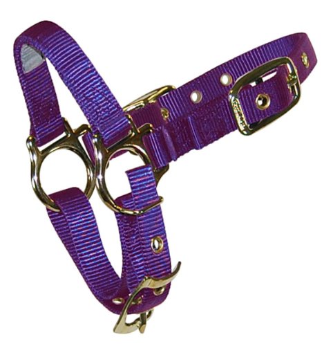 Hamilton-Sheep-Halter-with-Adjustable-Chin-Strap