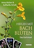 Image de Heilen mit Bachblüten. Das Kartenset