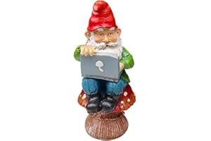 WINBST Nano da giardino con telecomando, da giardino con portatile, gnomo con arma, per casa delle bambole e decorazione da giardino, accessorio per interni ed esterni