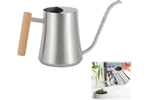 LPAMABA Arrosoir en Acier Inoxydable, 1000 ML Arrosoir Jardin Metal Petit Arrosoir à Long Bec Arrosoir Plante d'Intérieur Arrosoir Bec Fin Long Arrosoir Metal Petit Arrosoir Plante Arrosoir en Métal