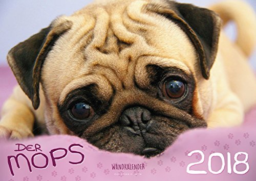 Preisvergleich Produktbild Der Mops 2018