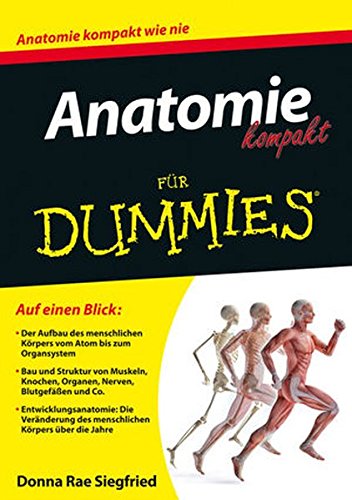 Anatomie kompakt für Dummies Buchen