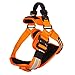 Produktbild Fusion Petse Trekker Adjustable Hallo-Vis militärische taktische Polizei K9 Ergonomische Reflektor-Streifen Hundegeschirr Jagdschutz Canine große orange