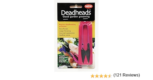 Watch Deadheads Download Full