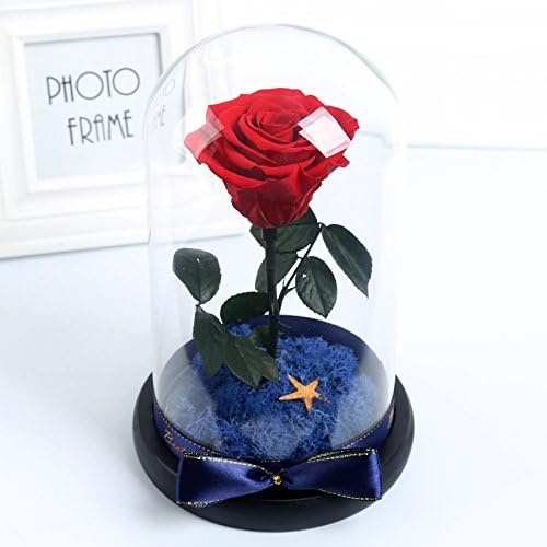 lEPECQ Eternal Flower Ornaments Rose Glass Mask's Girlfriend Valentine's Day Gift