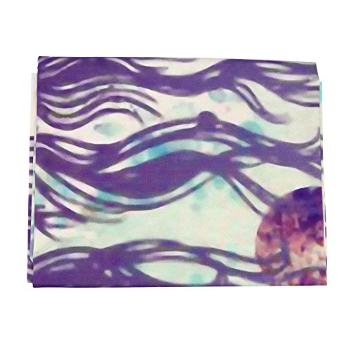 Strandtücher,Tonsee Wall Hanging Wall Tagesdecke Strand Handtuch Mat Blanket Tisch (150 * 200cm, Dream Catcher) - 3