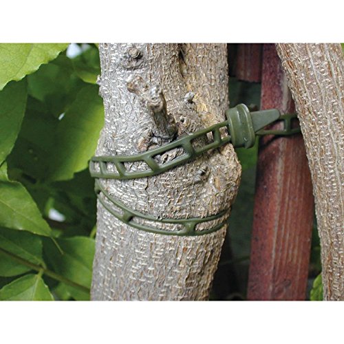 10 Stück Pflanzenbinder, Softbinder, Kabelbinder, Planzenclips, Flexbinder in grün zur Sicherung und Unterstützung von Pflanzen – SET, Kabelbinder:11 x 260 mm - 4