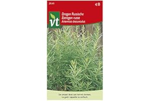 ARBORIX, PLUS VERT - MOINS CHER Dragoncello russo - Un'erba aromatica con molti usi in cucina