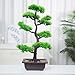 Produktbild Künstliche Bonsai Baum Pflanze für Büro Zuhause Dekoration, 62cm (Grün), Green (B-40cm) (B-62cm)