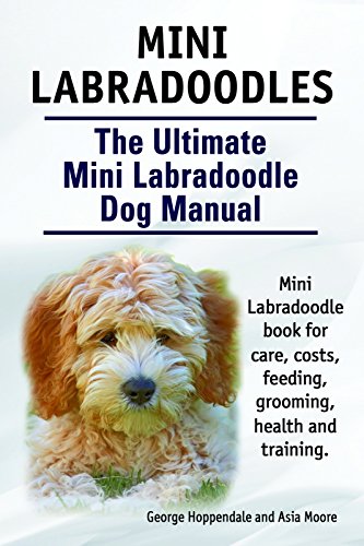 Mini Labradoodles Miniature Labradoodle Book For Care Costs