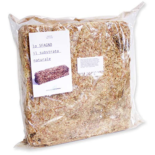 Esfagno Chileno Premium en Fibra 500 gr., Sustrato Natural de Esfagno Musgo para Orquídeas y Bonsai, Sphagnum Moss
