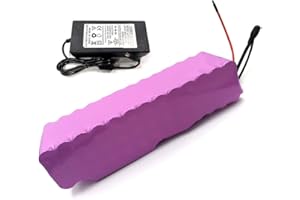 SEILYLANKA avec Chargeur 17.5Ah 7S5P 24V Batterie e-Bike ebike vélo électrique Li-ION Personnalisable 225x70x70mm