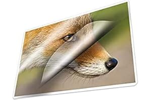 Kangaro Pellicola per plastificazione, formato A6, 111 x 154 mm, 125 micron, 100 fogli