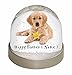 Produktbild Advanta Personalisiertes Foto mit Namen Golden Retriever Snow Globe Schneekugel Strumpffüller Geschenk, mehrfarbig, 9,2 x 9,2 x 8 cm
