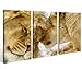 Produktbild Leinwand 3 tlg. Löwe Löwin Afrika Tiere Liebe Gefülle Love Bilder Wandbild 9A565 Holz-fertig gerahmt -direkt Hersteller, 3 tlg BxH:120x80cm (3Stk 40x 80cm)