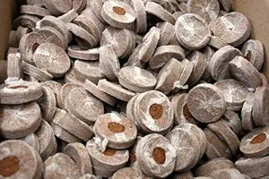 BIO BLOOMS AGRO INDIA PRIVATE LIMITED Coir Seedling Coins Cocopeat Disc, 50 mm Plant Starter Plugs -100 Pieces