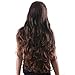 Songmics Fashion Lady's Wig Female Wavy Curly Long 61 cm WFS133