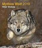 Mythos Wolf 2019 - Tierkalender, Wölfe Kalender, Naturkalender, Wandkalender, Posterkalender - 30 x 34 cm by 