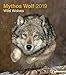 Mythos Wolf 2019 - Tierkalender, Wölfe Kalender, Naturkalender, Wandkalender, Posterkalender - 30 x 34 cm by 