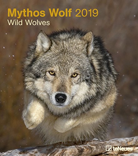 Mythos Wolf 2019 - Tierkalender, Wölfe Kalender, Naturkalender, Wandkalender, Posterkalender - 30 x 34 cm