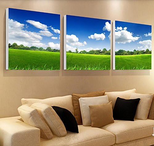 Pingofm Landscape paintings decorate the modern minimalist sofa hanging on the wall paint water and mountains bedroom garden restaurant with no frame animation decorative painting,35*50,12mm,L