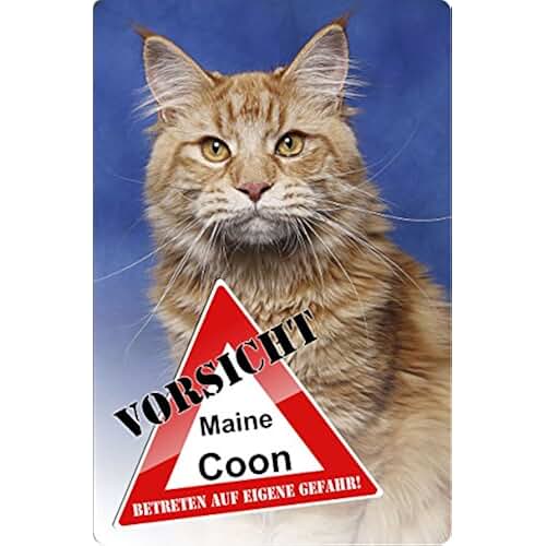 Suchergebnis auf Amazon.de für: warnschilder katzen