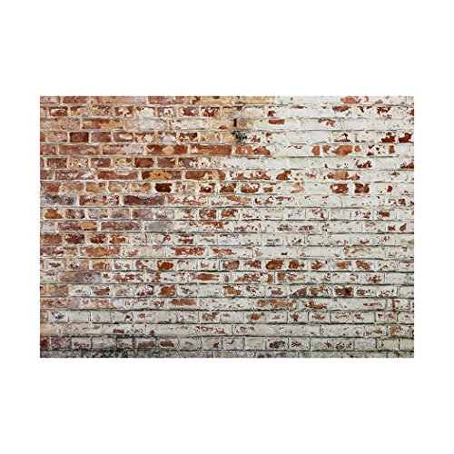 Fototapete Steinwand Steine 350×245 cm XXL | KOMPLETT SET MIT KLEISTER – PREMIUM VLIES TAPETE – PROFI QUALITÄT (Keine Papiertapete, keine Blasenbildung) – Top moderne Wanddeko – Fototapete 3D Illusion – Riesen Wandbild – Top Design Tapete – Neue exklusvie Edition mit noch besser Druckauflösung – Deutsches Premium Vlies (Kein Import Vlies oder PVC), Schlafzimmer, Wohnzimmer, Kinderzimmer geeignet | Fototapeten Wandtapete FOB0147a73XL - 2