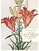 Gartenblumen Kalender 2012 by 
