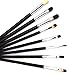 Sanwood 8x Eye Brushes Set Blend Eyeshadow Angled Smoked Makeup Brush