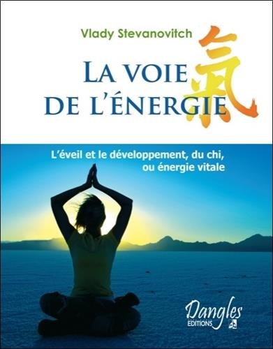 Download Voie de l'énergie : développement du chi