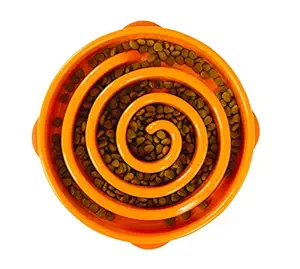 Outward Hound Slow Feeder Dog Bowl (Orange)