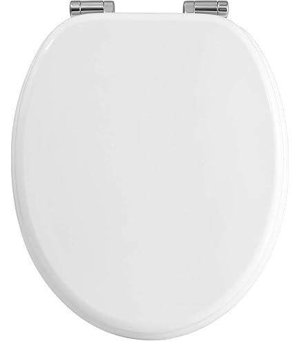 Wc-bril