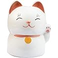 KNRAGHO Piggy Bank, Favor Ceramic Piggy Bank Kids Mini-Piggy Bank in Gift Box (Lucky Cat)