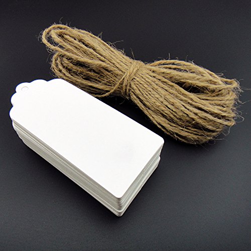 paper luggage tags with string