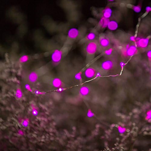 LED String Lights, ZISTE 60 Leds Lights 10ft Decorative lights For Party,Holiday, Christmas,Wedding,Garden,Rice Shape Pink