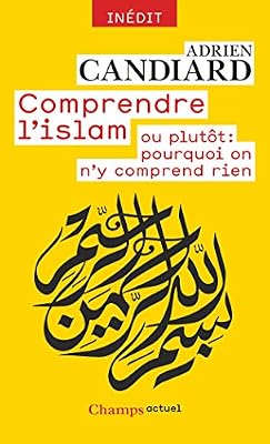 Flammarion Comprendre l'Islam - ou plutôt : pourquoi on n'y comprend rien