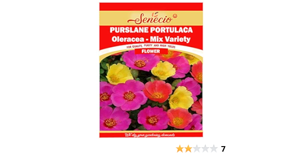 Senecio Purslane Portulaca Oleracea Mix Variety Seeds Pack Amazon In Garden Outdoors Senecio Purslane Portulaca Oleracea Mix Variety Seeds Pack Amazon In Garden Outdoors