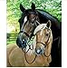 Produktbild YUUWO Dekoration Pferd Malerei Diamant Malerei Kreuzstich Diamant Malerei Diamant Mosaik Wand Stickers Rahmenlos 12x16 inch