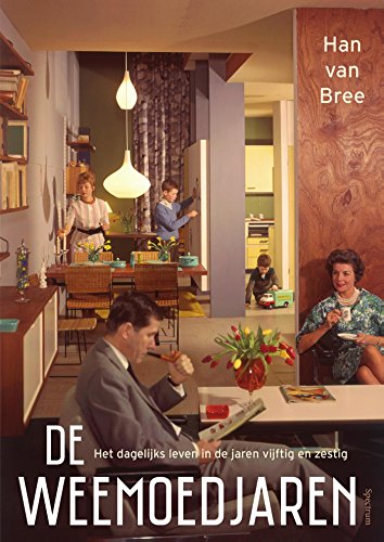 Ebook De weemoedjaren