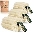 Fancy Pine Egyptian Loofah Sponge (Pack of 3) - 100% Natural Organic Loofah Exfoliating Body Scrubber - Textured Shower Loofah for Men, Women, Kids - Hard to Soft Bath Sponge for Cellulite, Dry Skin