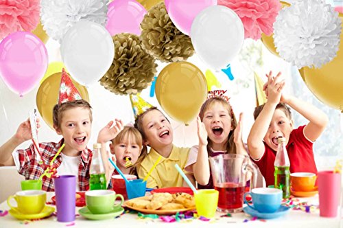Alles Gute zum Geburtstag Dekorationen Banner mit Gewebe Pom Poms Blumen und Latex Party Ballons von Paxcoo - 6