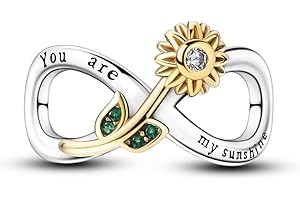 NARMO Abalorios Charms Colgantes de Cuentas,Plata de Ley 925 con Circonita cúbica,Compatible con Pulsera Pandora & Europeo, Charms de Para Niña Mujer